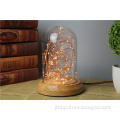 ODM/OEM Glass Dome with Oak Base with LED Lights - D12cm * H20cm